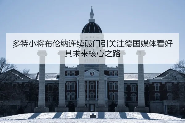 多特小将布伦纳连续破门引关注德国媒体看好其未来核心之路